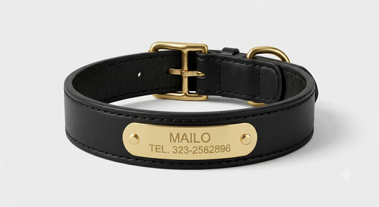 Collar de Cuero Premium - Akro Noir Absolute negro matte