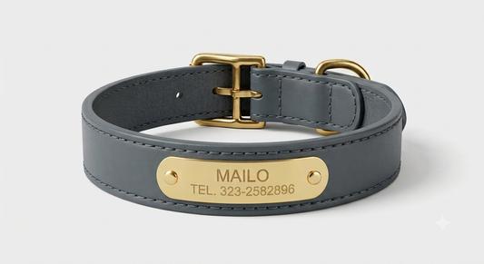 Collar de Cuero Premium - Akro Slate Grey