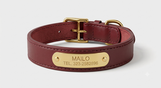 Collar de Cuero Premium - Akro Rouge Borgoña (Rojo)