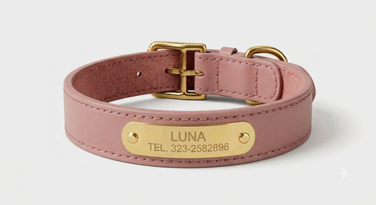 Collar de Cuero Premium - Akro Nude Rosé (Rosado)