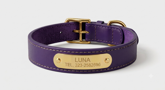 Collar de Cuero Premium - Akro Royal Purple (Purpura)