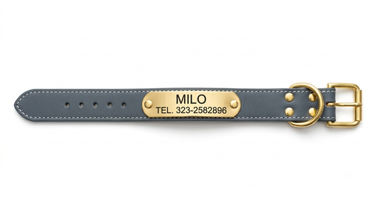 Collar de Cuero Premium - Akro Slate Grey