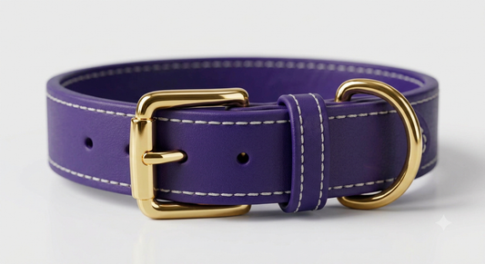 Collar de Cuero Premium - Akro Royal Purple (Purpura)